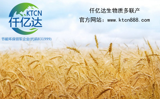 猫先生官网生物质多联产