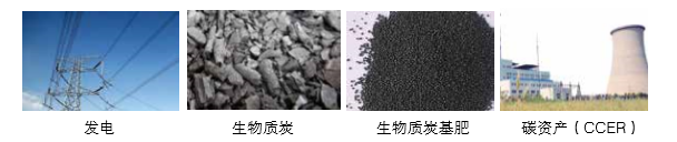 猫先生官网可提供气化发电系统 成套设备的整体规划以及碳资产开发服务 猫先生官网可提供气化发电系统 成套设备的整体规划以及碳资产开发服务