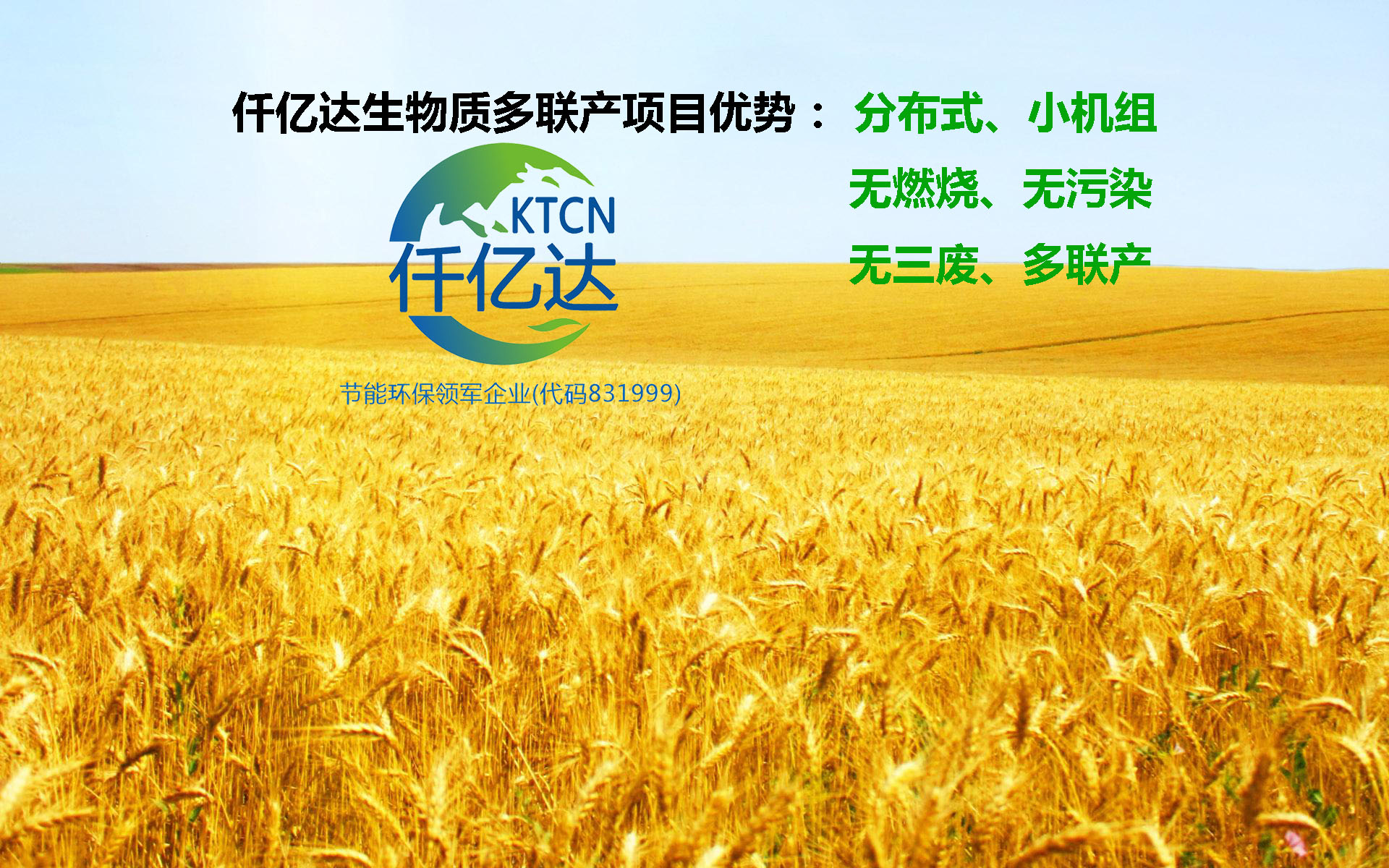 猫先生官网生物质多联产项目