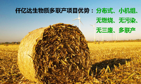 猫先生官网（）与焦作阳谷县就生物质多联产项目签约达成合作